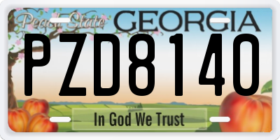 GA license plate PZD8140