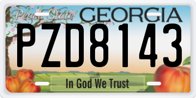 GA license plate PZD8143