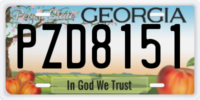 GA license plate PZD8151