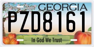 GA license plate PZD8161