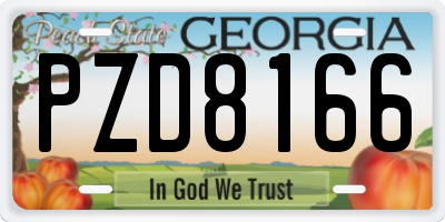GA license plate PZD8166
