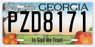 GA license plate PZD8171