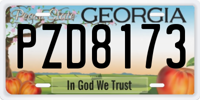 GA license plate PZD8173