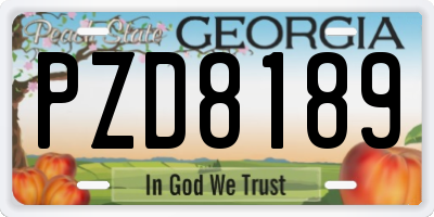 GA license plate PZD8189