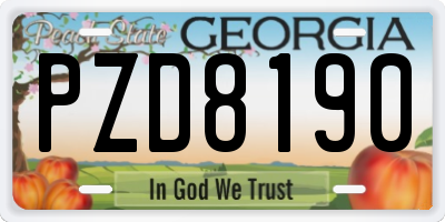 GA license plate PZD8190