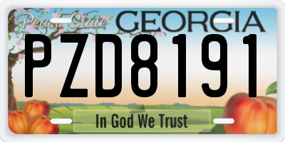 GA license plate PZD8191