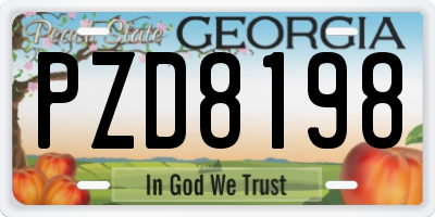 GA license plate PZD8198