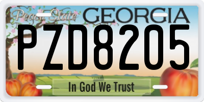 GA license plate PZD8205