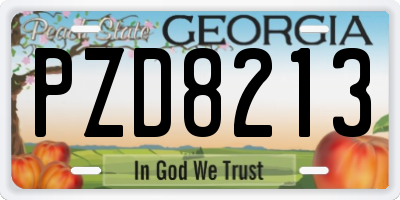 GA license plate PZD8213