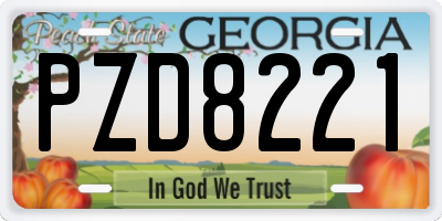 GA license plate PZD8221
