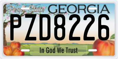 GA license plate PZD8226