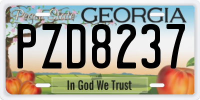 GA license plate PZD8237