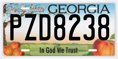 GA license plate PZD8238