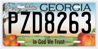 GA license plate PZD8263