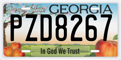 GA license plate PZD8267