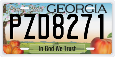 GA license plate PZD8271