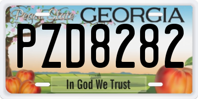 GA license plate PZD8282