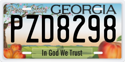 GA license plate PZD8298