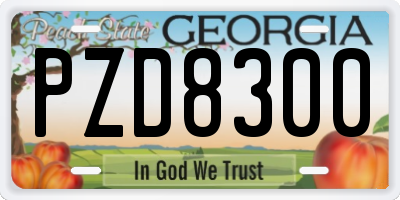 GA license plate PZD8300