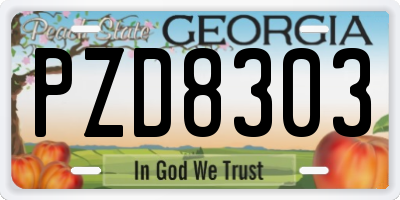 GA license plate PZD8303