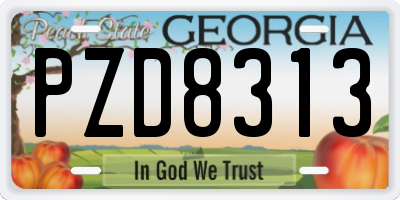 GA license plate PZD8313