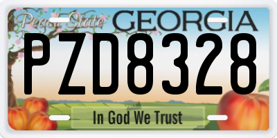 GA license plate PZD8328