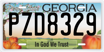 GA license plate PZD8329