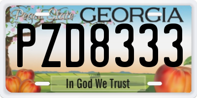 GA license plate PZD8333