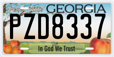 GA license plate PZD8337