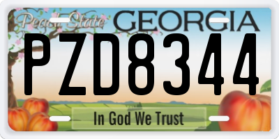 GA license plate PZD8344