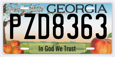 GA license plate PZD8363