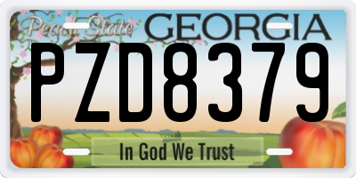 GA license plate PZD8379