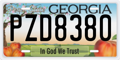 GA license plate PZD8380