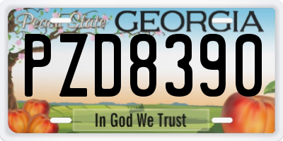 GA license plate PZD8390