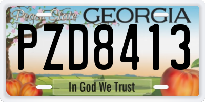 GA license plate PZD8413