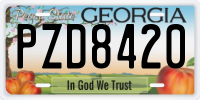 GA license plate PZD8420