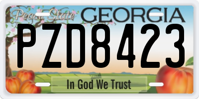 GA license plate PZD8423