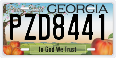 GA license plate PZD8441