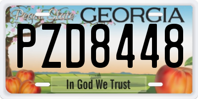 GA license plate PZD8448