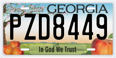 GA license plate PZD8449