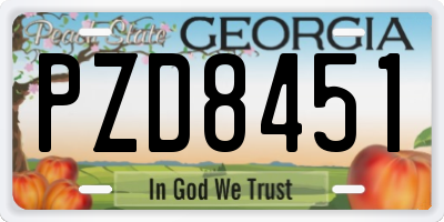 GA license plate PZD8451