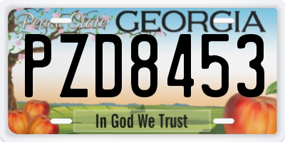 GA license plate PZD8453