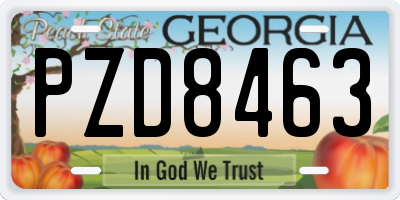 GA license plate PZD8463