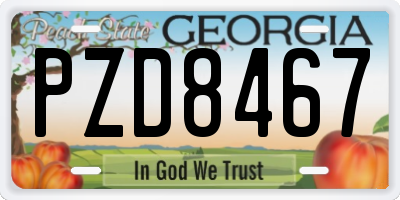 GA license plate PZD8467