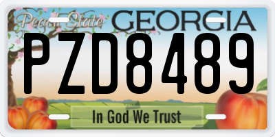 GA license plate PZD8489