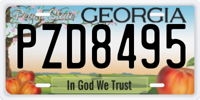 GA license plate PZD8495