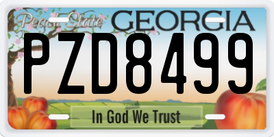 GA license plate PZD8499