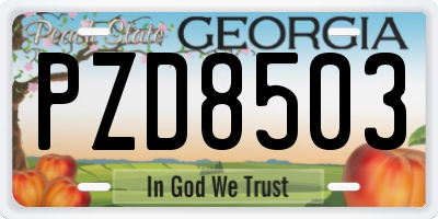 GA license plate PZD8503