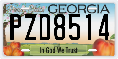 GA license plate PZD8514