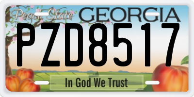 GA license plate PZD8517